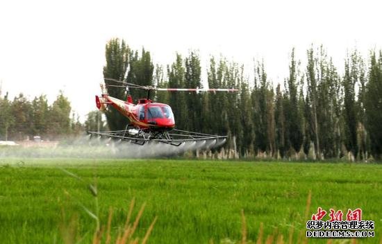 资料图：新疆农民利用无人机对农作物喷洒农药。李江帆 摄