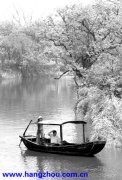 西溪：舟从梅树下 踏雪赏梅花[图]